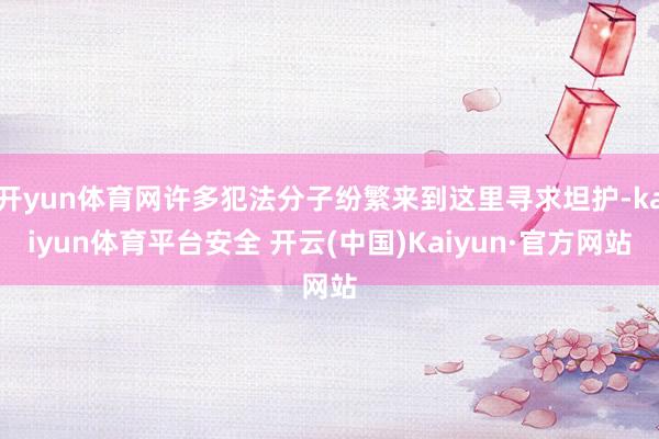 开yun体育网许多犯法分子纷繁来到这里寻求坦护-kaiyun体育平台安全 开云(中国)Kaiyun·官方网站